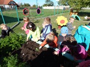 Sklízíme úrodu na zahrádce